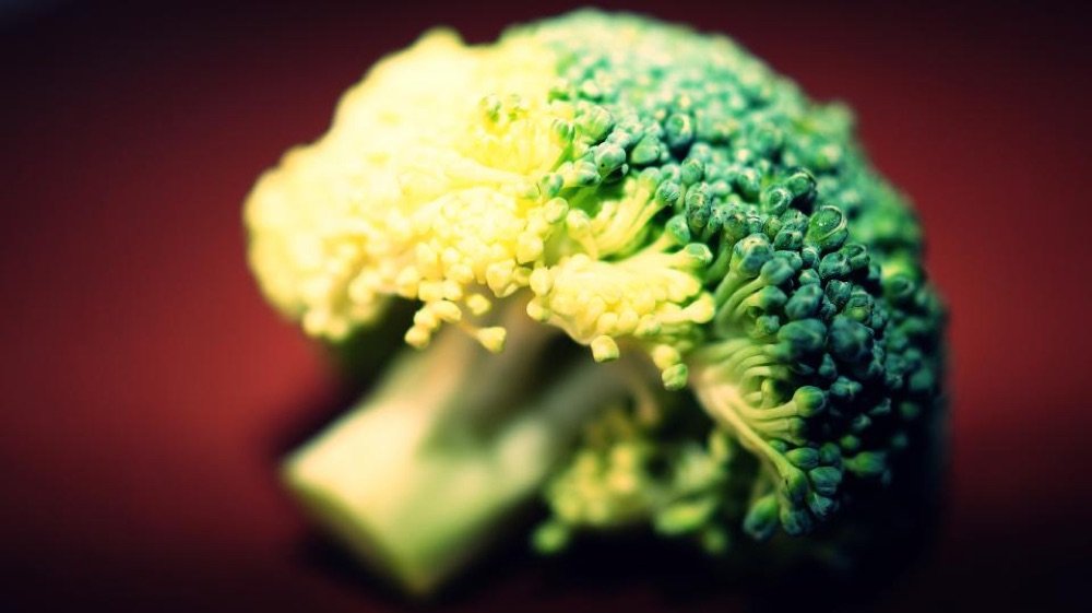 Broccoli