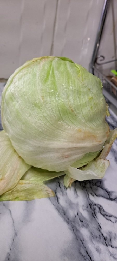 Lettuce