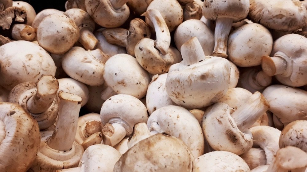 Button mushroom