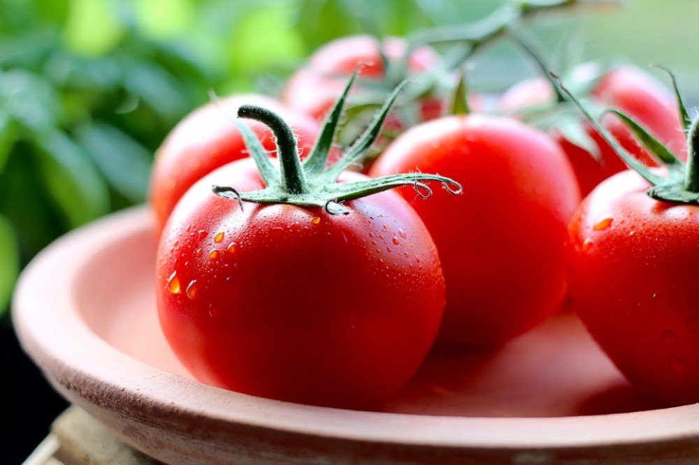 Tomato